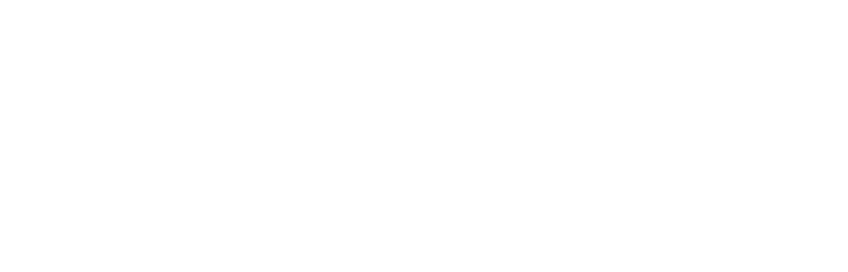 Momentum Fireguard